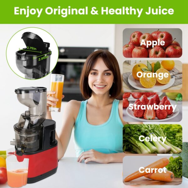 1Pc Cold Press Juicer Machine 300W Electric Slow Masticating Juicer For Whole Vegetable And Fruit With Reverse Function 2 Containers Cleaning Brush Clear Marks Easy Cleaning Fedex Shipping - Image 9