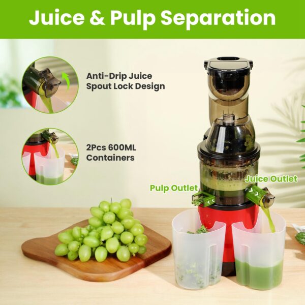 1Pc Cold Press Juicer Machine 300W Electric Slow Masticating Juicer For Whole Vegetable And Fruit With Reverse Function 2 Containers Cleaning Brush Clear Marks Easy Cleaning Fedex Shipping - Image 10